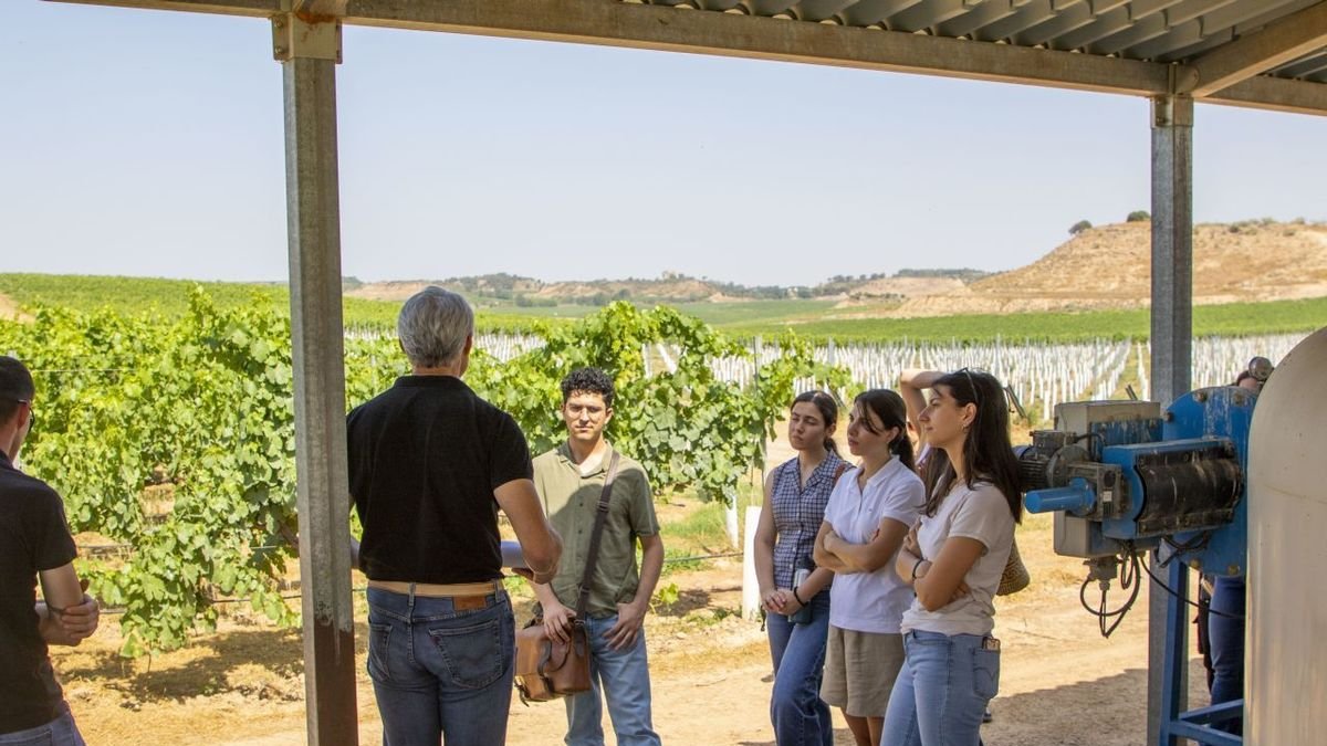Participants de la jornada escolten les explicacions de Joan Esteve sobre reg a les vinyes de Raimat. - GERARD HOYAS