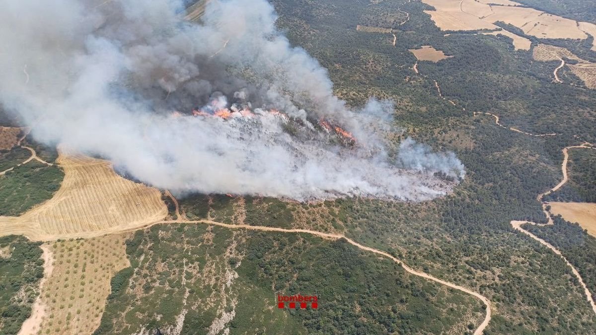 Vista áerea de l’incendi a Os de Balaguer, que va calcinar 19 hectàrees.