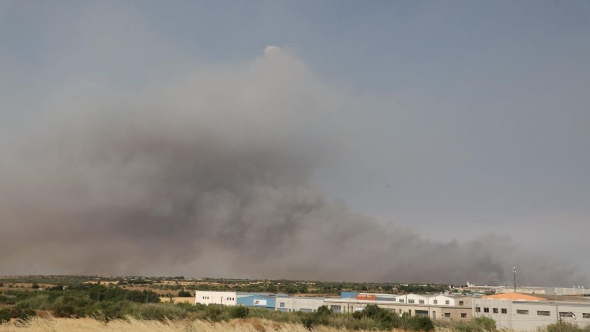 Vista de la inmensa humareda a causa del incendio desde la entrada a Tàrrega. - CARMINA MARSIÑACH