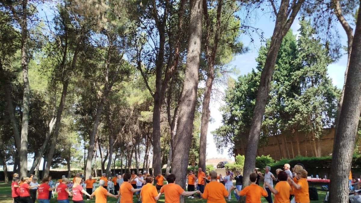 La ‘ballada’ popular de sardanas en el parque del Sant Crist de Balaguer. - C.S.B