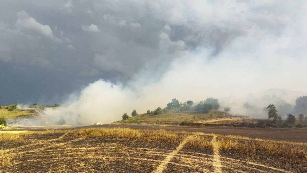 L’incendi de vegetació que es va originar ahir a Oliola, a la Noguera. - CARMINA MARSIÑACH