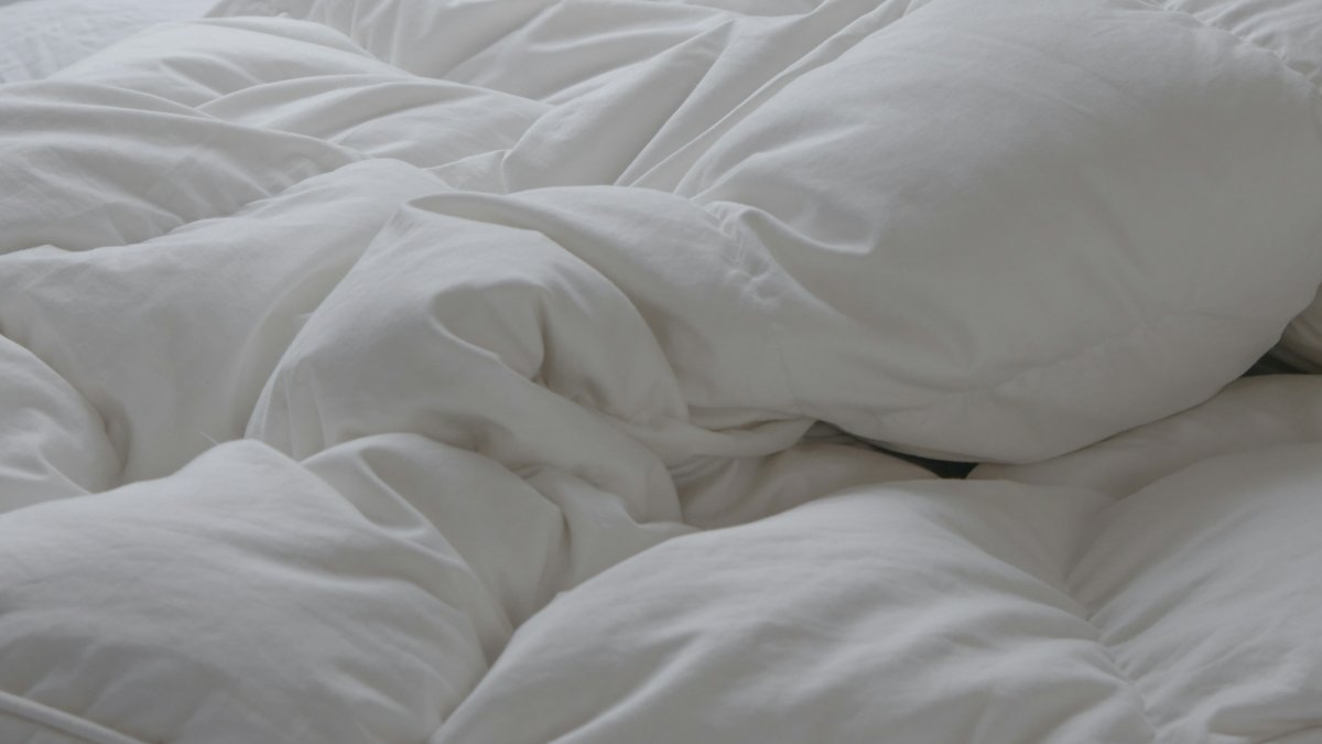 Les xinxes s’amaguen entre la roba de llit.