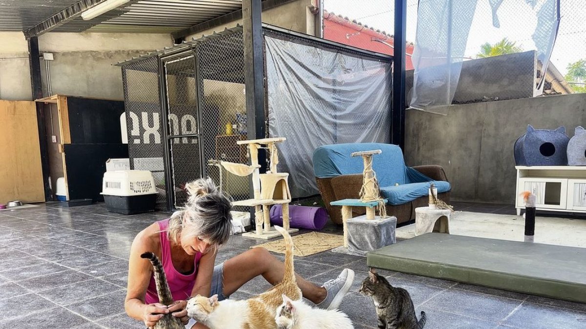 Una voluntària amb gats a la gatera municipal. - AJUNTAMENT DE TÀRREGA