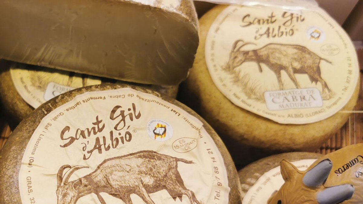 Paisatge sinuós - LLUÏSA PLA