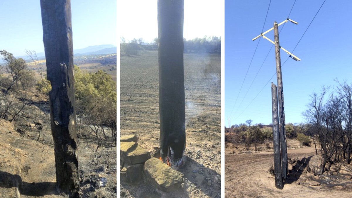 Endesa inspecciona la línea afectada por el incendio entre Guissona y Ponts