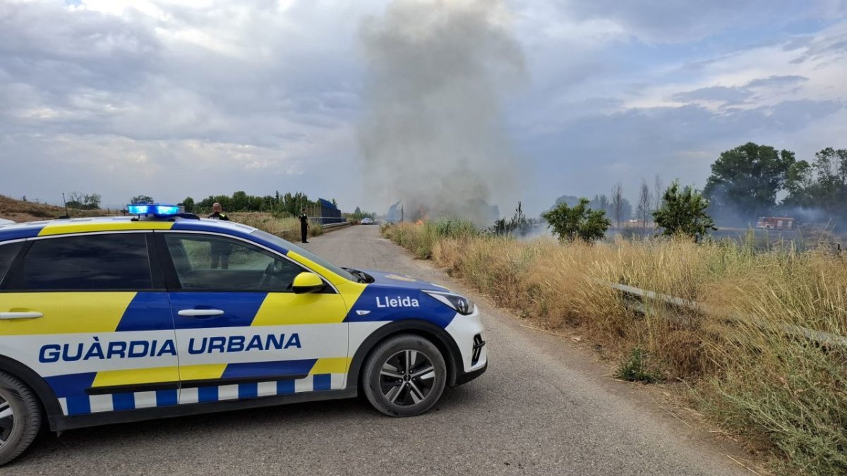 El foc es va originar a la partida de Vinatesa cap a les set de la tarda