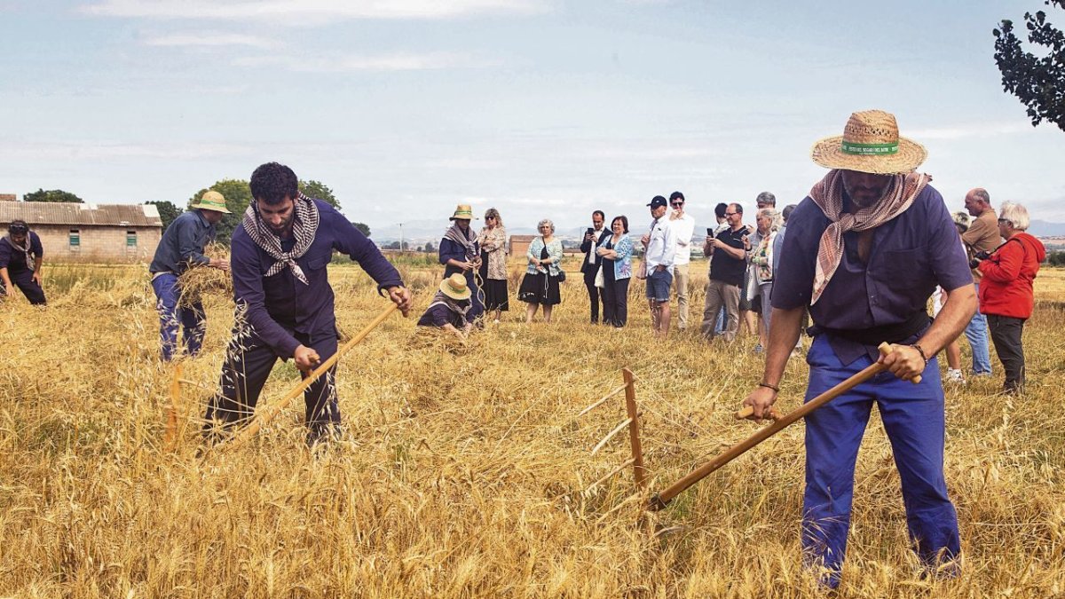 Reproducirán tareas como la siega con guadaña.