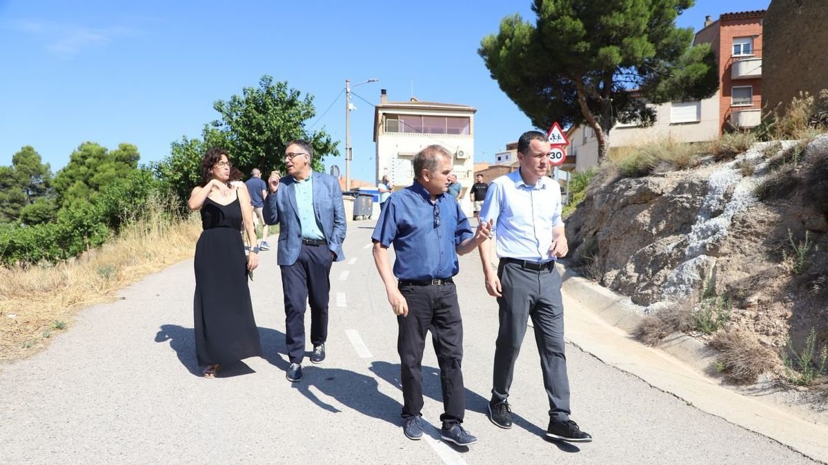 Ordeig (dreta), ahir al camí de Bovera a la Palma d’Ebre. - MAGDALENA ALTISENT