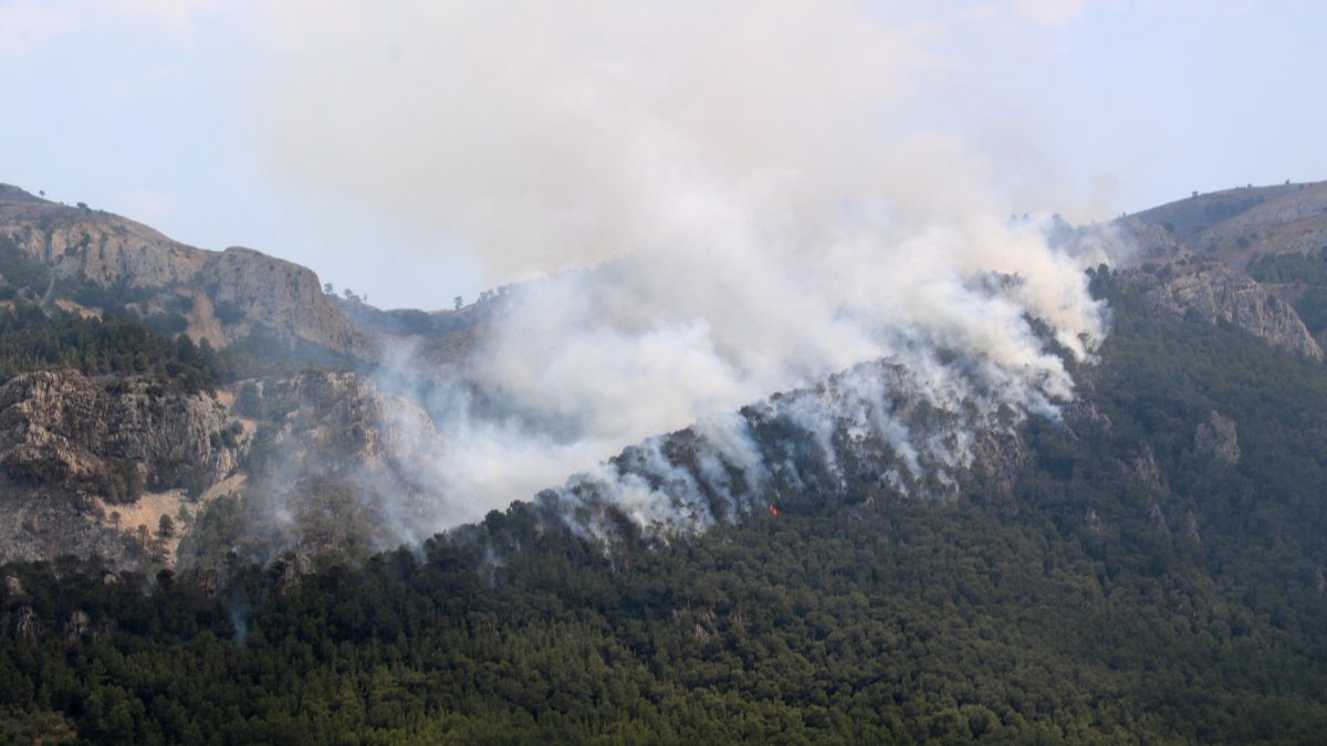 Foc a la serra de Paüls el dimarts a la tarda
