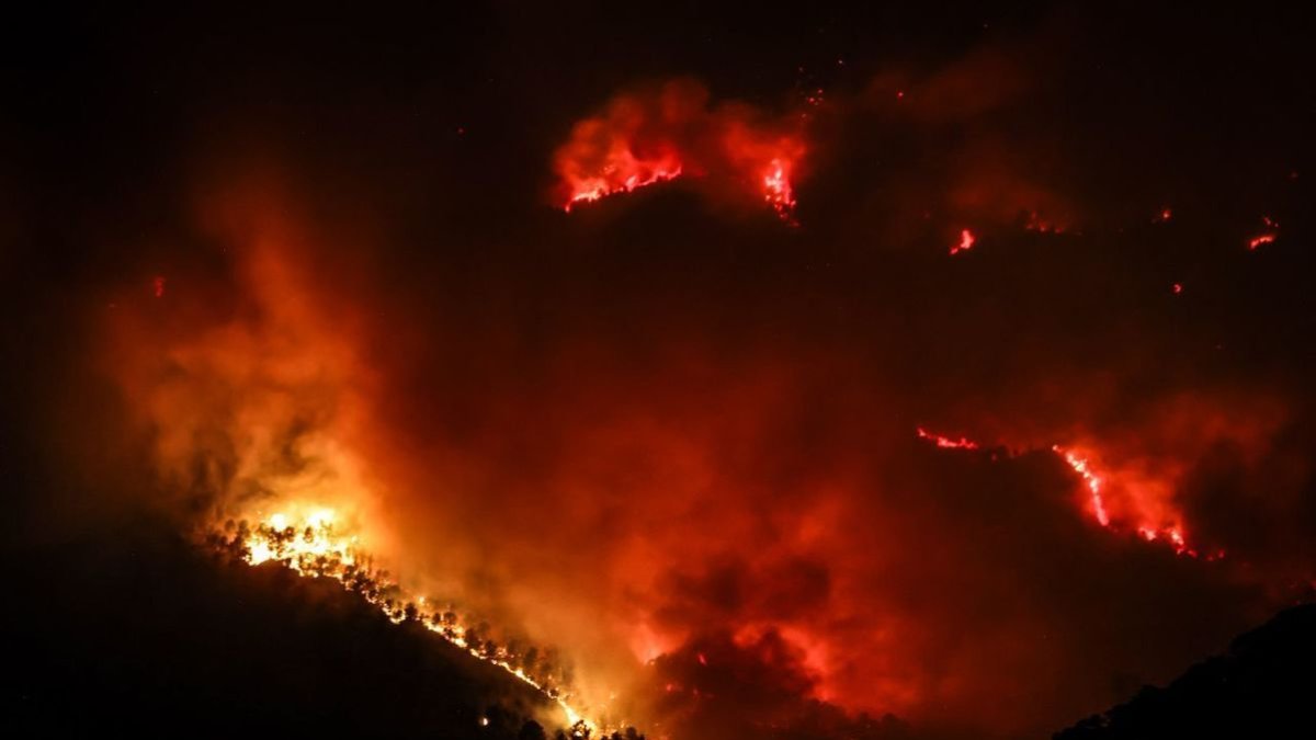 El foc, avivat pel vent durant la nit de dilluns. - ACN