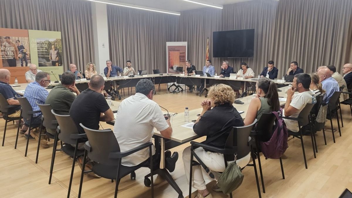 Edils de 13 municipis afectats i dos consells, a la reunió amb la Generalitat a la Diputació. - DIPUTACIÓ DE LLEIDA