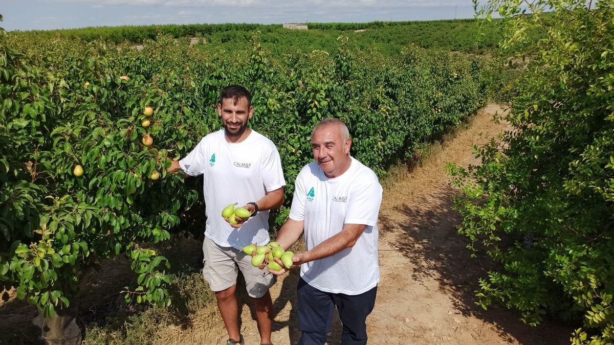 El responsable de fruta dulce de Asaja Lleida, Jordi Vidal, con Pere Roqué, presidente de Asaja Lleida. - J. MARTÍNEZ