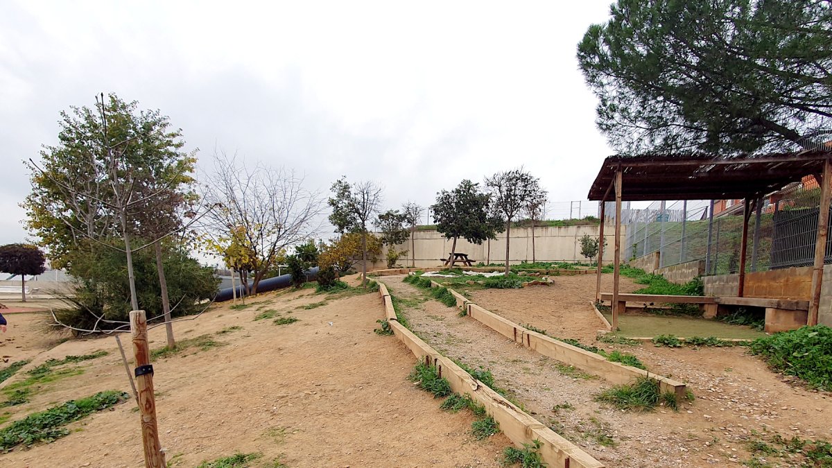 El espacio donde se plantará un bosquecillo a la escuela Países Catalanes