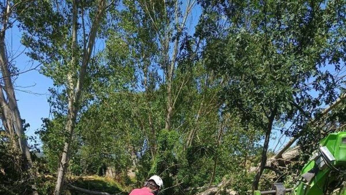Un trabajador de la brigada, ayer en Ribalta. - AYUNTAMIENTO DE SOLSONA