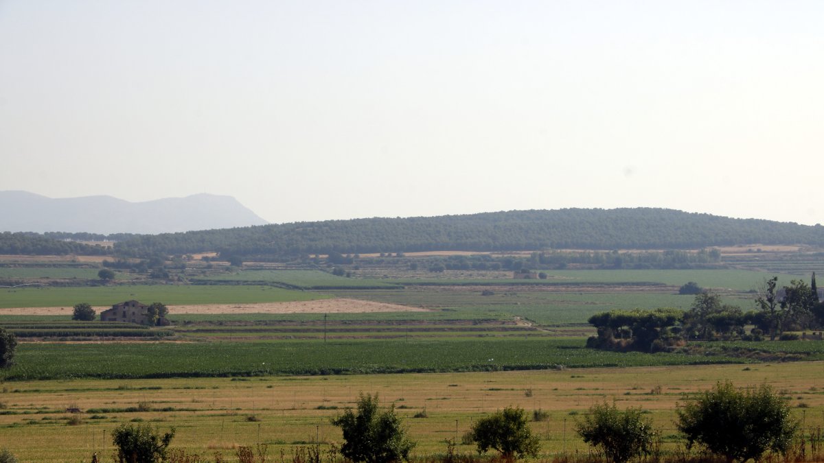 Terrenos donde se quiere ubicar la planta de biogás de la Sentiu de Sió