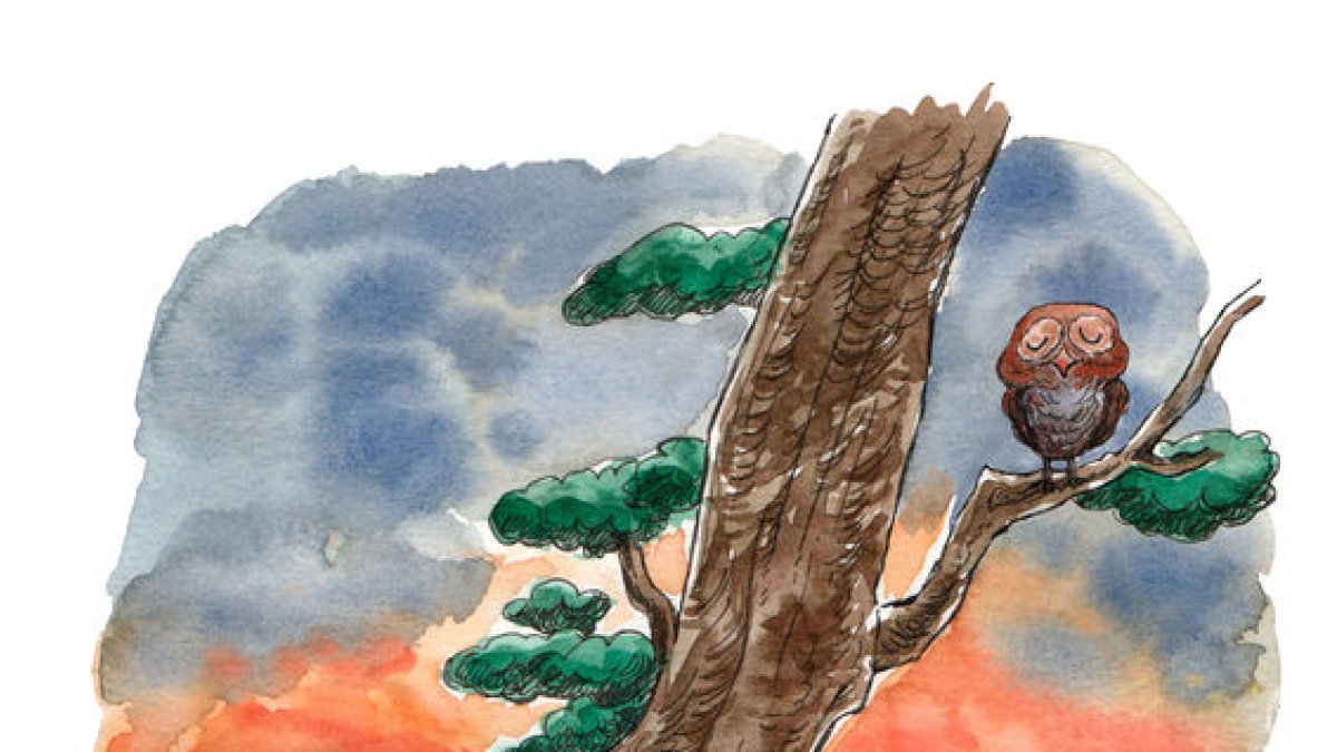 El darrer viatge de la Bruna és una història poètica que tracta temes profunds de la vida, la mort i la llibertat de decidir el nostre propi camí. A través de la figura de la tortuga Bruna, l’autora ens convida a reflexionar sobre el sentit de la mort com una part natural de la vida, i sobre el dret a alliberar-nos del patiment, d’acord amb la nostra pròpia voluntat.
