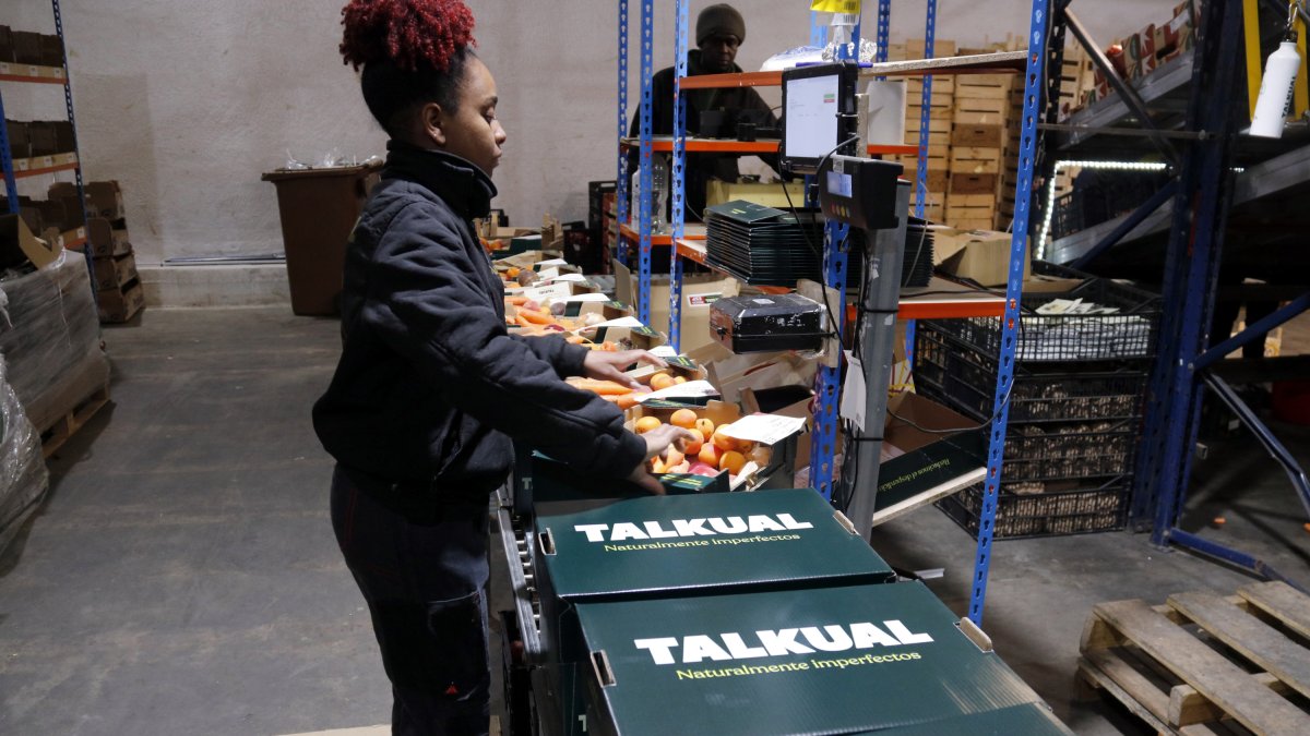Cajas de fruta y verdura de Talkual a punto de ser enviadas.