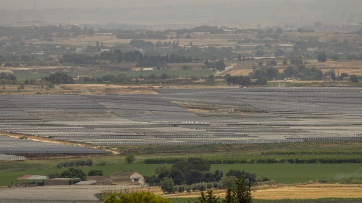 La planta solar que promueve Forestalia en Alcarràs. - JORDI ECHEVARRIA