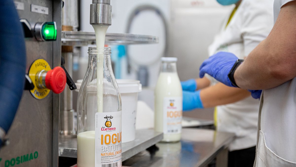 Una màquina omplint una botella de iogurt del projecte social La Lleteria de Talma en un obrador.