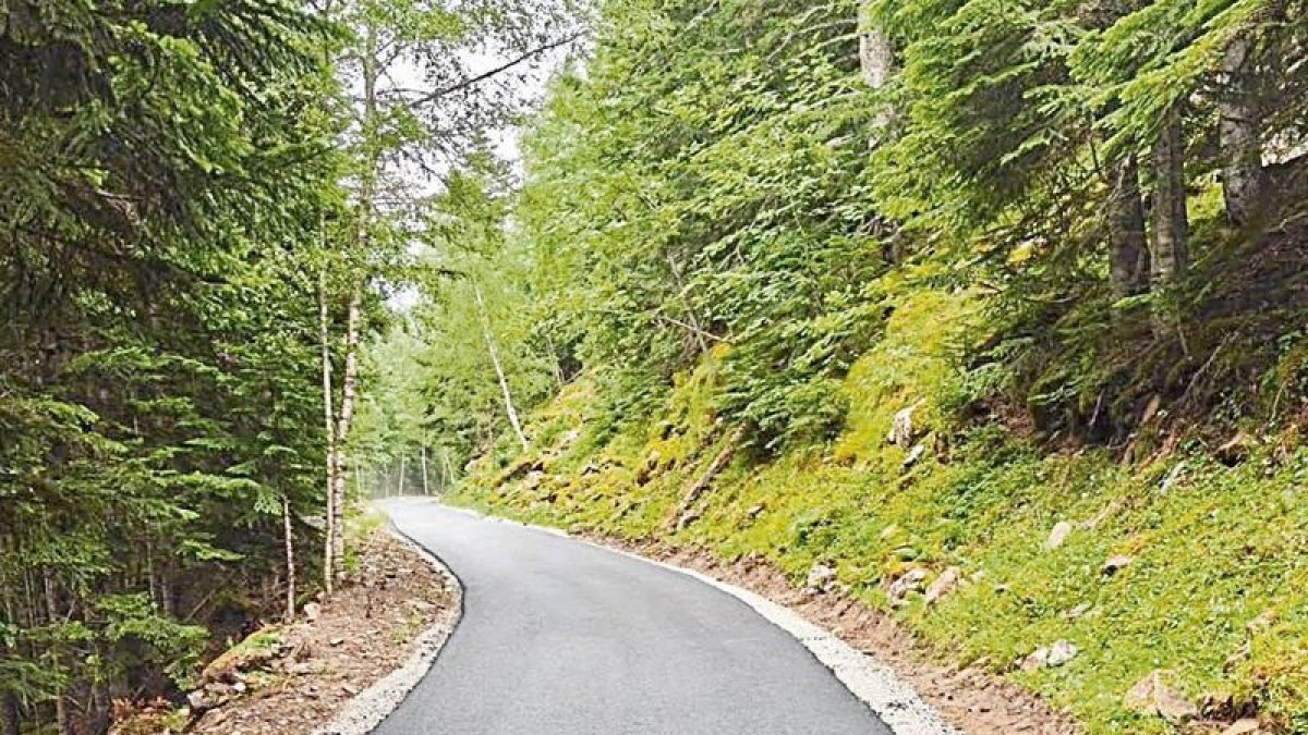 La pista de Boet, que da acceso a la ruta de la Pica d’Estats.; Array