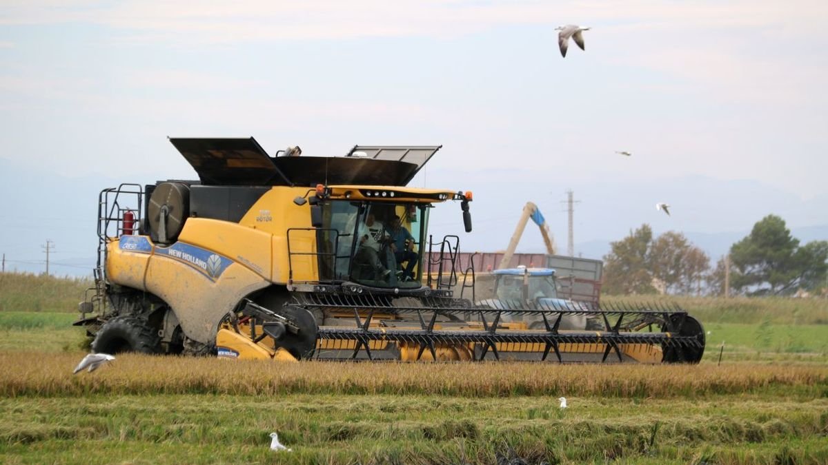 Las cooperativas estiman que Catalunya puede perder 60 millones al año con la propuesta de Bruselas. - ACN