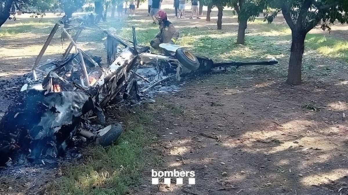 El estado en que quedó la avioneta en medio del campo de almendros después de incendiarse. - BOMBERS
