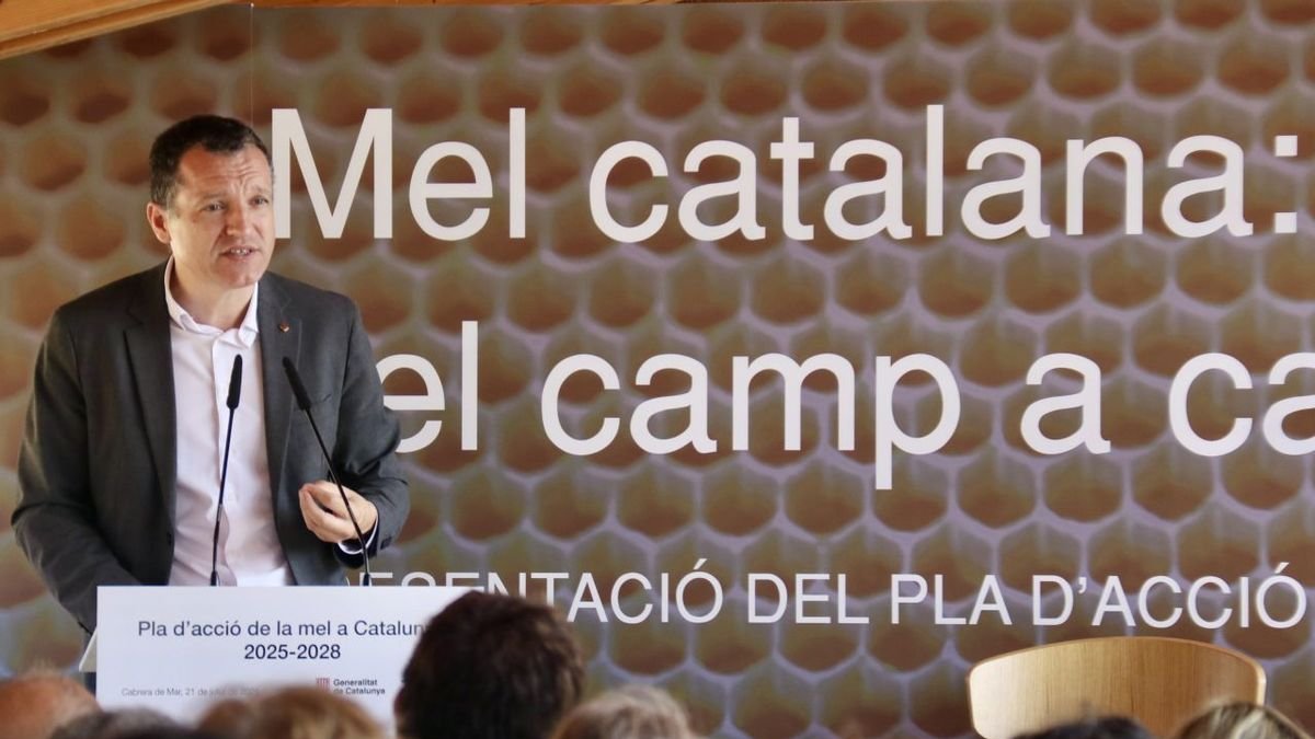 Ordeig durant la presentació del pla a Barcelona. - ACN