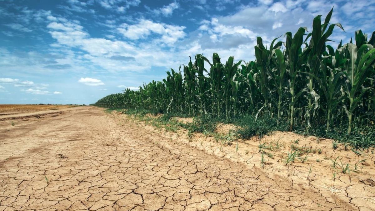 La sequía y las olas de calor, los fenómenos que más afectan.