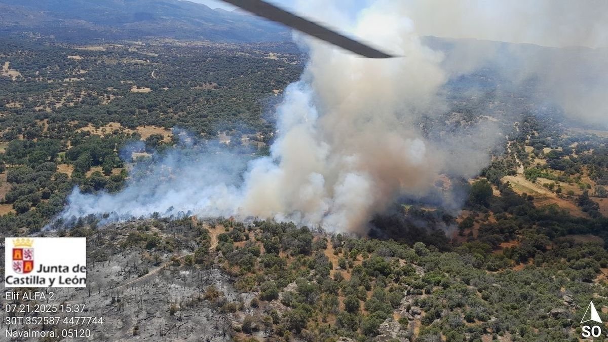 Reactivado un incendio en Ávila, y estabilizados en Palencia y Badajoz - JCYL