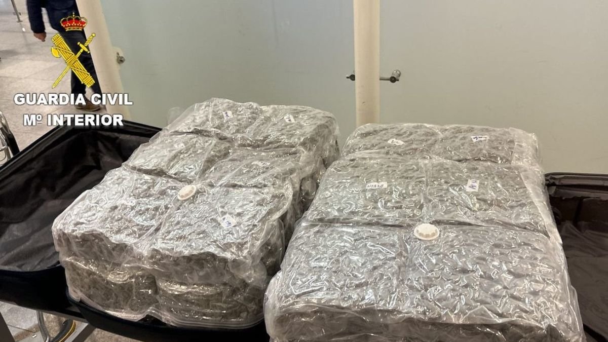 Bolsas de marihuana incautadas a uno de los arrestados. - GUARDIA CIVIL