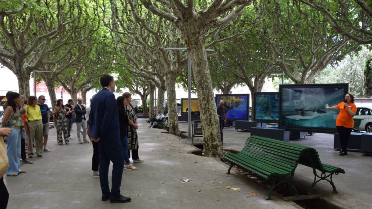 La exposición estará en el paseo Joan Brudieu hasta el 17 de agosto. - C.SANS