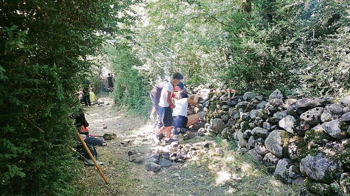 Los jóvenes, trabajando en un muro de piedra seca.; Array