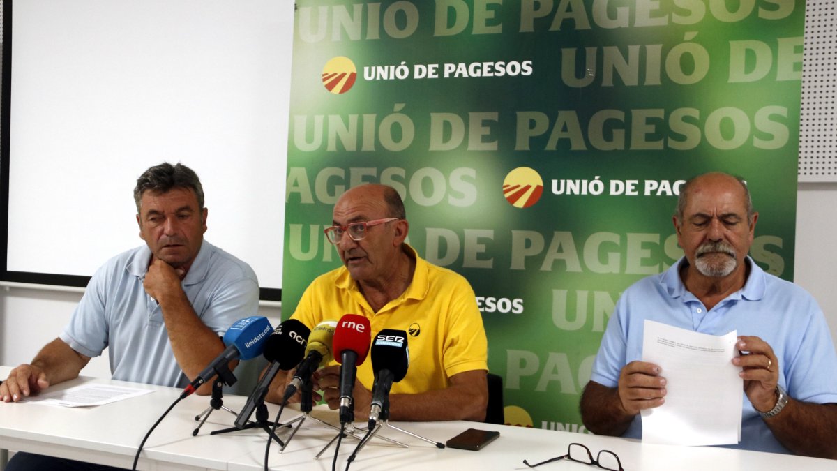 Roda de premsa d'UP sobre els parcs fotovoltaics.