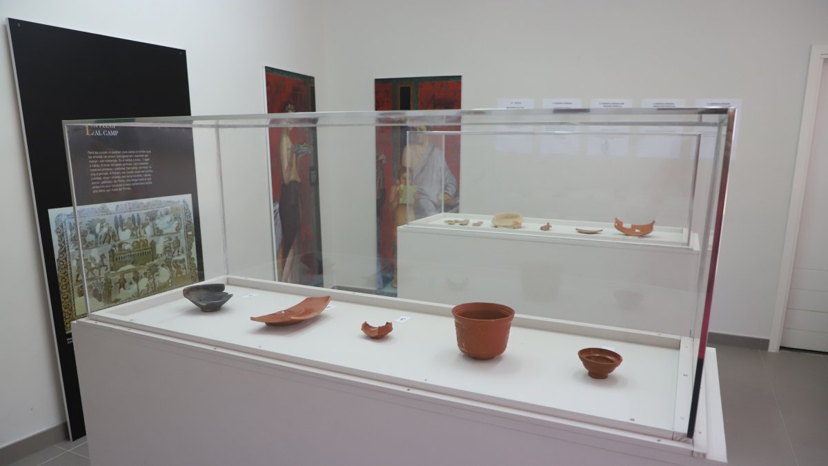 Los restos arqueológicos expuestos en Raimat.