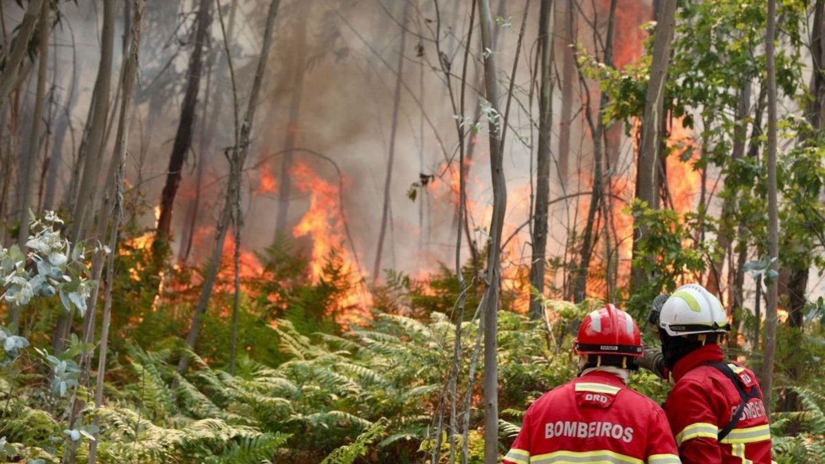 Els bombers combaten l’incendi d’Arouca, Portugal. - EFE/CARLOS GARCÍA