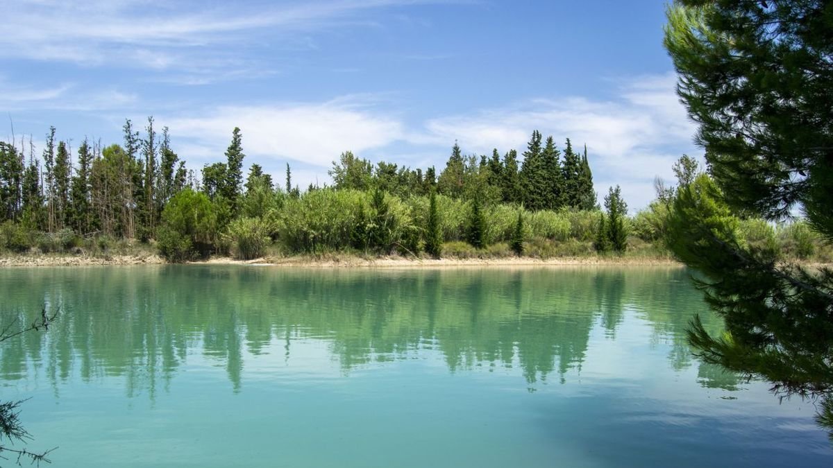 La bassa de la Xama de Gimenells va ser inclosa a la llista d’aiguamolls de Catalunya després de l’ampliació de fa dos dècades. - ÁLEX SAMPER