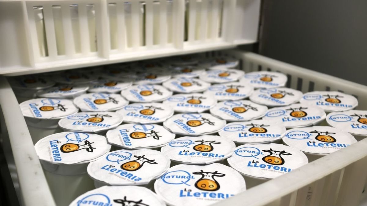 Iogurts de la cooperativa agroalimentària La Xefra. - ACN