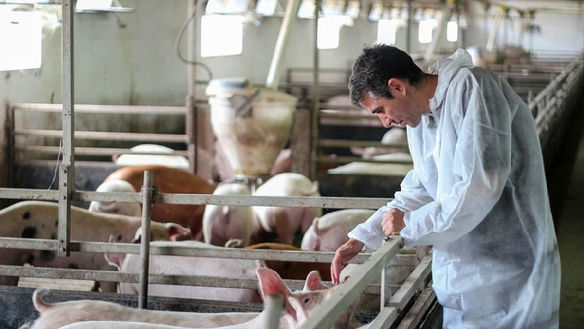 L’avaluació va des d’alimentació fins a comportament animal. - WELFAIR