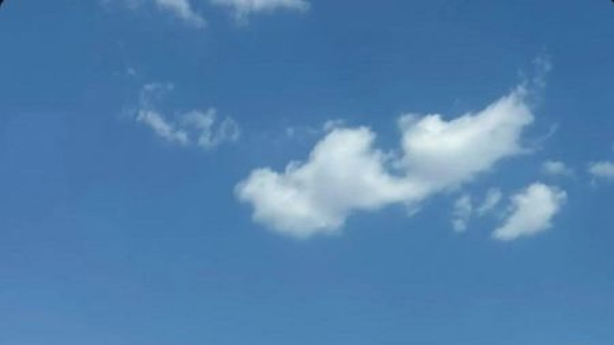 Imatge de l’avió danyat després d’impactar contra una gran au.