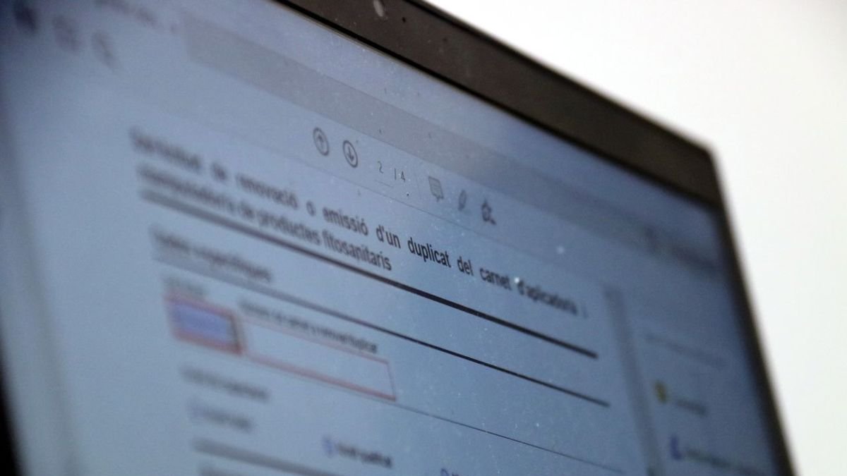 Imagen de una pantalla con un trámite a la administración por vía telemática. - NIA ESCOLÀ/ACN