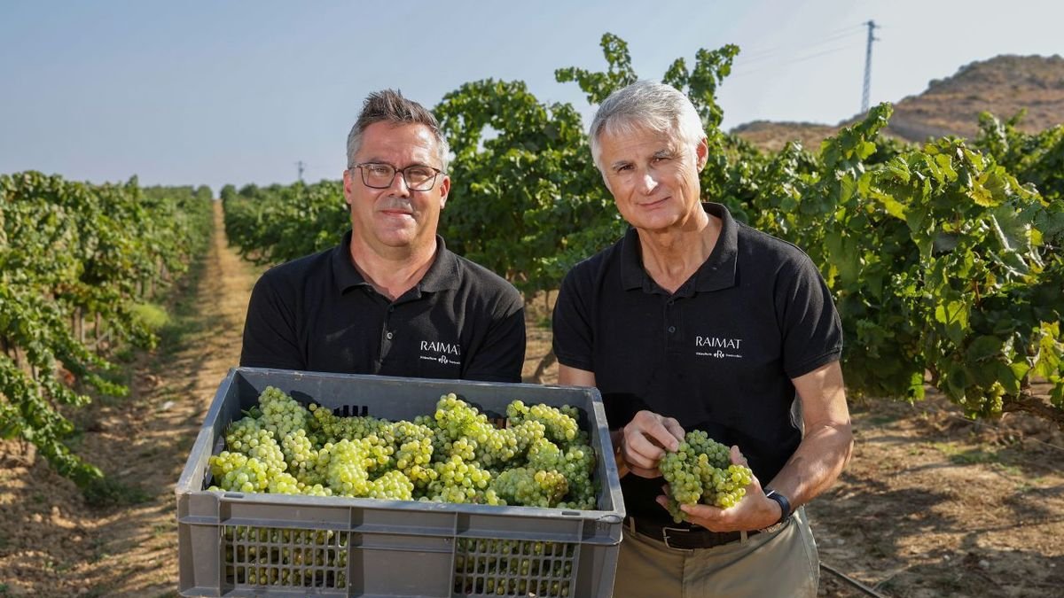 Carles Escolar i Joan Esteve, ahir en l’arrencada de la verema a Raimat. - E.M.M.