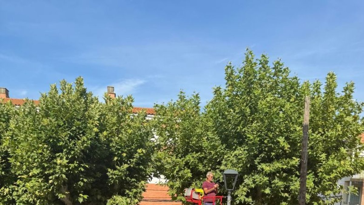 Les obres per canviar el sistema d’enllumenat s’han portat a terme en aquests dies. - A.L.G.E.