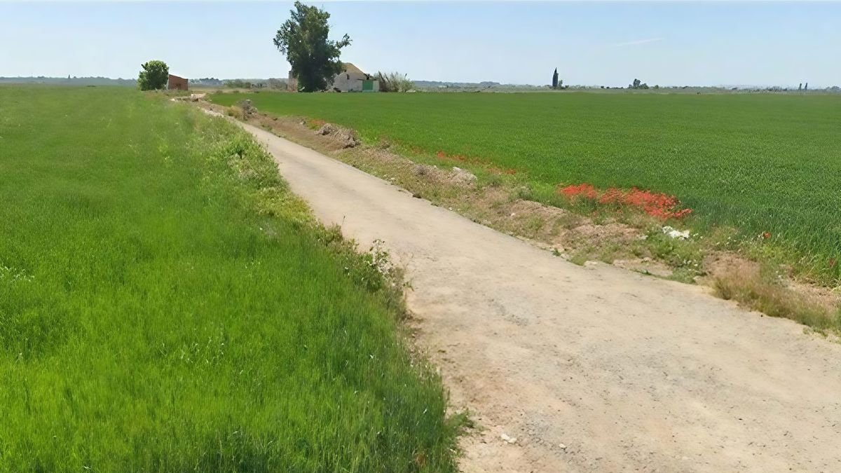 La zona on s’instal·larà la macroplanta de biogàs per revaloritzar residus de granges. - BIOFERTILIZANTES CH4
