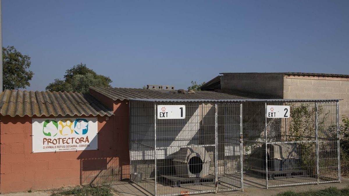 La Paeria se compromete a mantener las instalaciones actuales hasta que se construya el nuevo espacio. ; Array
