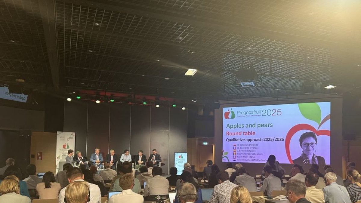 Una de les taules de Prognosfruit, amb la participació del lleidatà Joan Serentill. - AFRUCAT