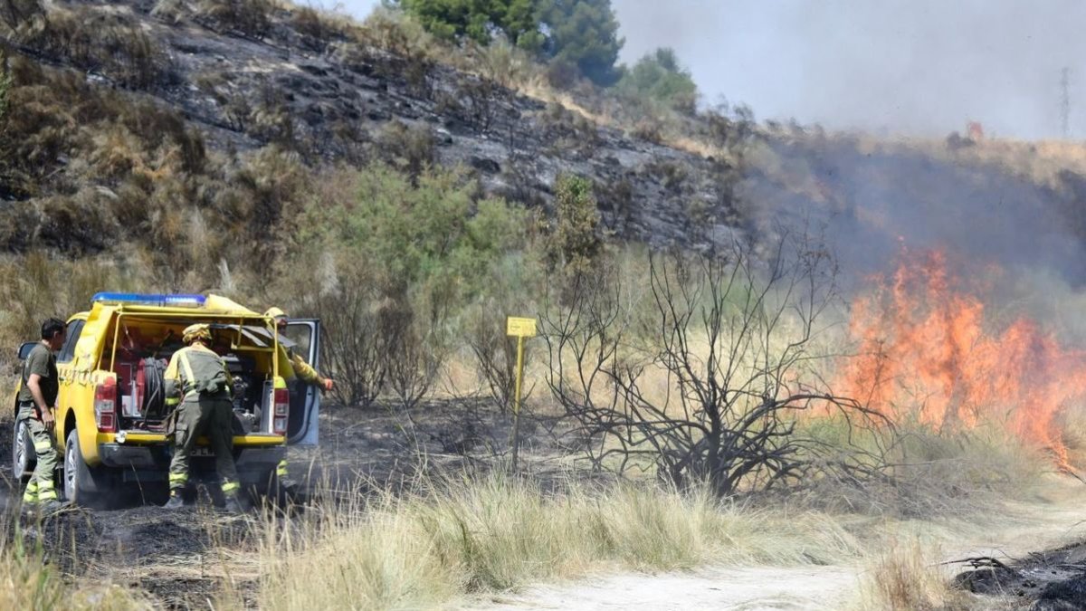 Esforços de contenció d’una zona de foc a Aranjuez. - EFE/ VÍCTOR LERENA