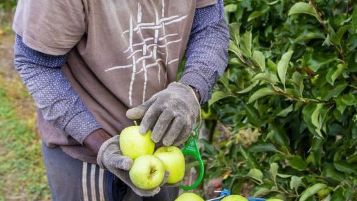 Los casos de suplantación de identidad están aumentando. - GERARD HOYAS