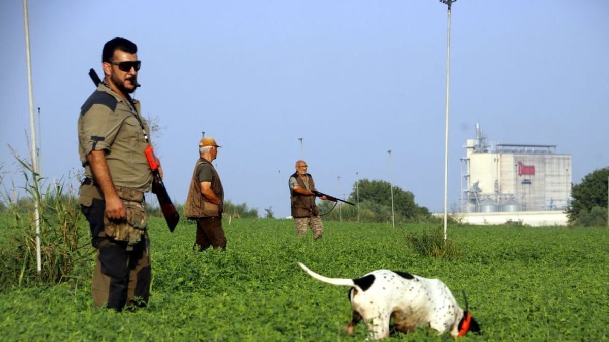 Cazadores y un perro en un campo de alfalfa en Sidamon, en agosto del pasado año. - FEDERACIÓ DE CAÇA DE LLEIDA