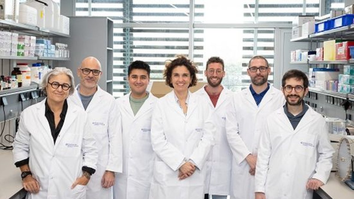 El equipo responsable del estudio.