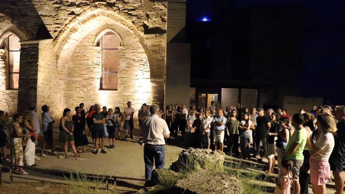Les activitats a la Seu Vella van reunir un centenar de persones. - MAGDALENA ALTISENT